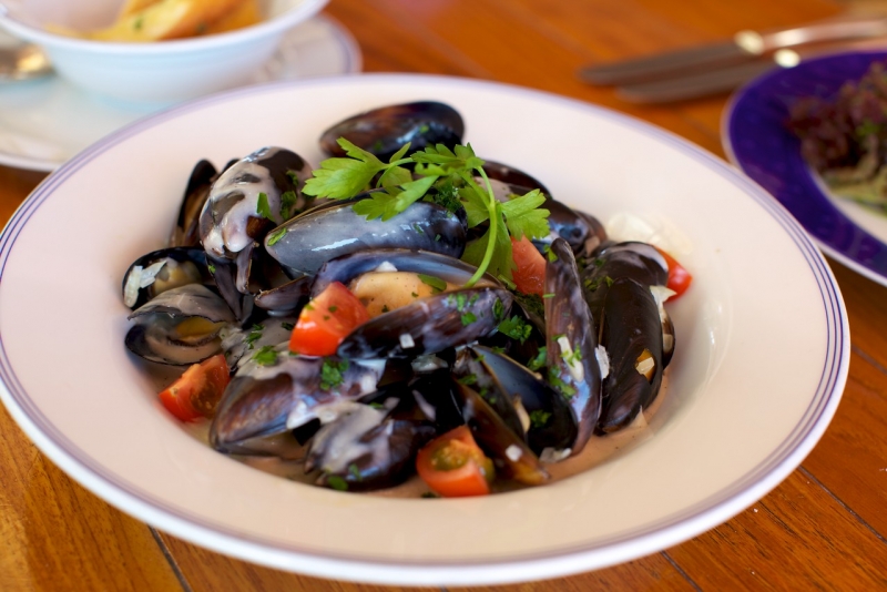 Mussels
